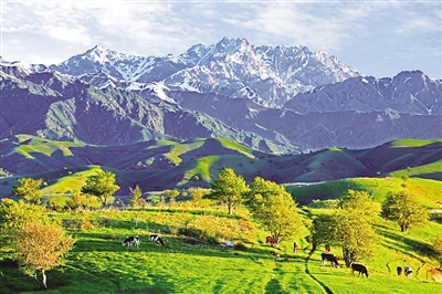 擦亮生态金名片让绿色成为新疆最美的幸福底色